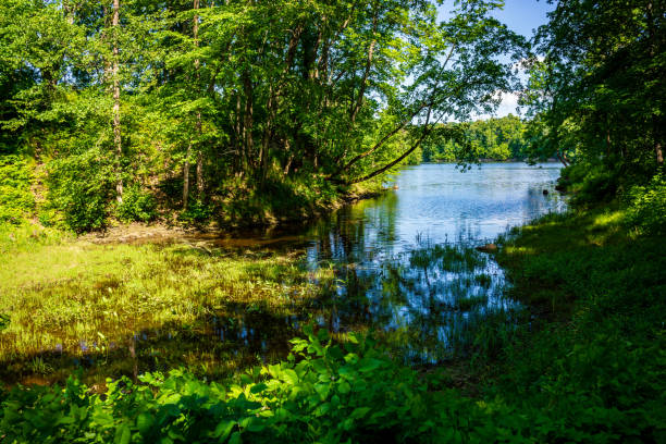 istock calm countryside river in autumn 1146523416