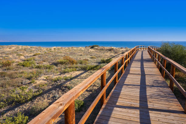 istock Arenals del Sol Beach in Elche Elx Alicante 1146525598