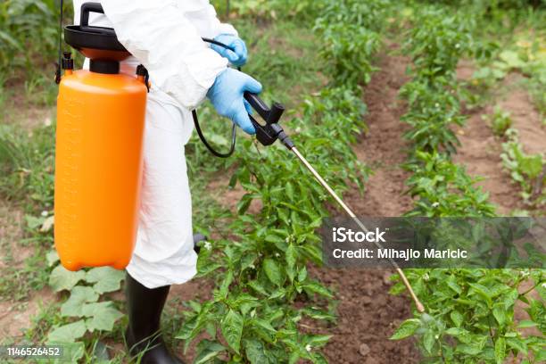 Herbizidsprühen Biogemüse Stockfoto und mehr Bilder von Glyphosat - Glyphosat, Versprühung von Schädlingsbekämpfungsmittel, Insektizid