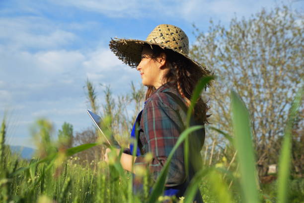 istock Young female farmer with digital tablet 1146527064