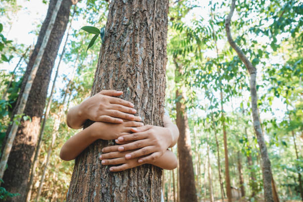 istock Parent and Child Hug the Old Tree 1146527279