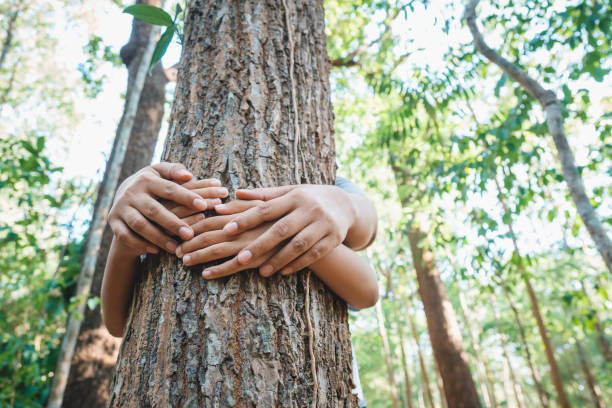 istock Parent and Child Hug the Old Tree 1146527343