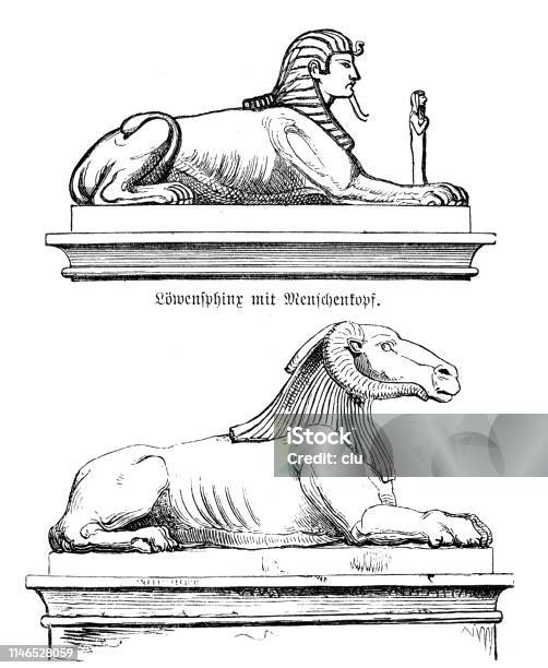 Sphynx Lion Sphynx Ram Stock Illustration - Download Image Now - Sphynx Hairless Cat, Egypt, Engraved Image