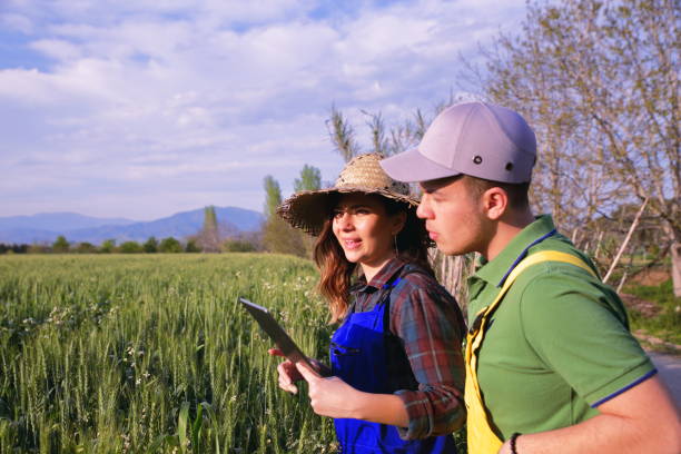 istock Two farmer standing in a field and looking at tablet 1146528344