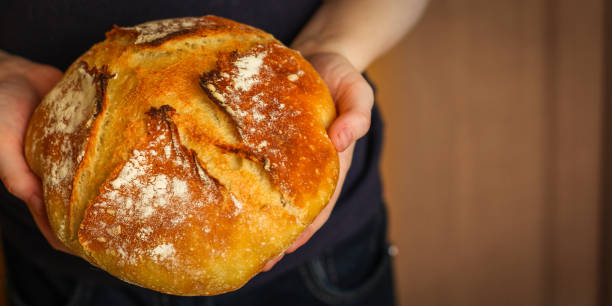 istock white bread round form, fresh pastries. food background. top 1146530104