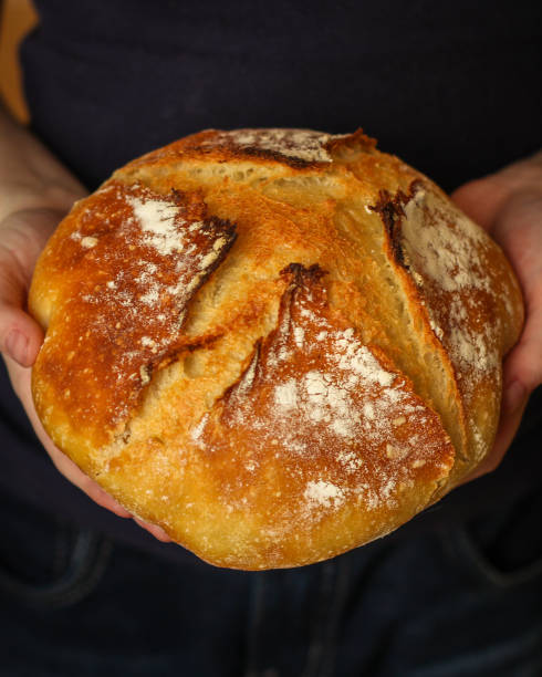 istock white bread round form, fresh pastries. food background. top 1146530110