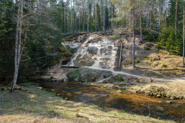 istock rock covered river bed in forest with low water level 1146531093