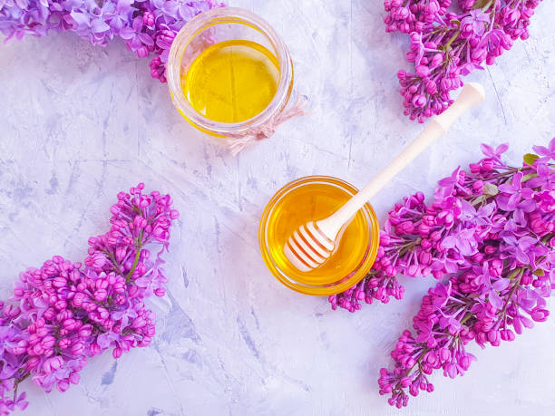istock fresh honey lilac flower on gray concrete background 1146536166