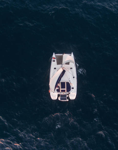 istock Sailing catamaran in Atlantic ocean 1146537024