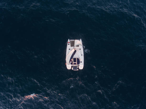 istock Sailing catamaran in Atlantic ocean 1146537051