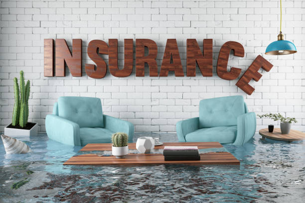 istock Insurance Concept. House Flooded 1146541096