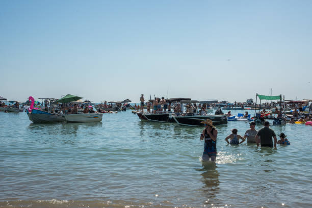 mare di timor: festa in spiaggia - women wading sun hat summer foto e immagini stock
