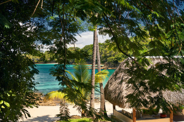 Lagoon view from the interior of the Contadora island in Pacific Ocean Archipelago Las Perlas isla contadora stock pictures, royalty-free photos & images