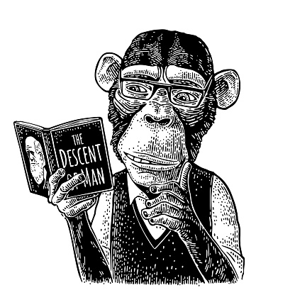 Monkey hipster is reading a book The Descent of Man with glasses dressed in shirt and slip-over. Vintage black engraving illustration isolated on white. Hand drawn design element for t-shirt
