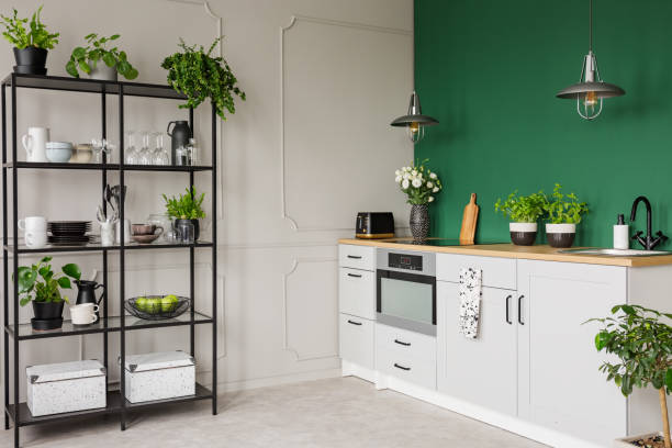 istock Green and grey kitchen interior with plants and herbs, real photo with copy space 1146547123
