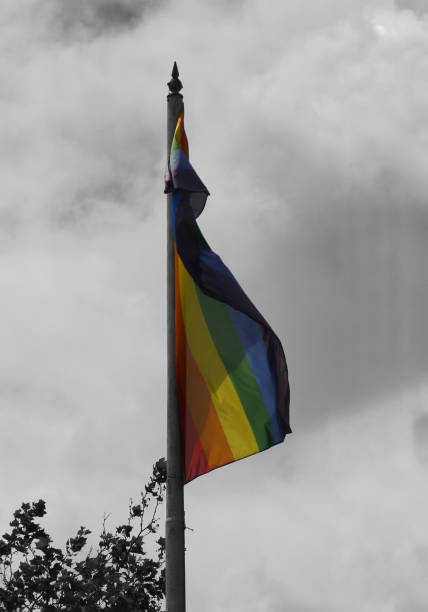 istock Colorful pride flag with black and white background 1146547990