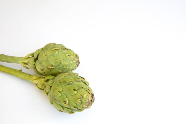Fresh green organic artichokes isolated on white which are famous and popular in Urla Izmir Turkey