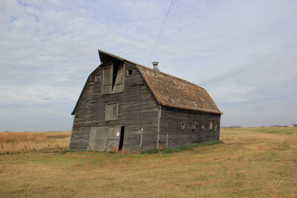 istock Abandoned Leaning Barn Yard by Andrea Lawrence C 1020377 Saskatchewan 1146553073
