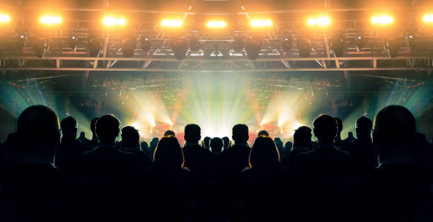 istock Music festival crowd 1146553094