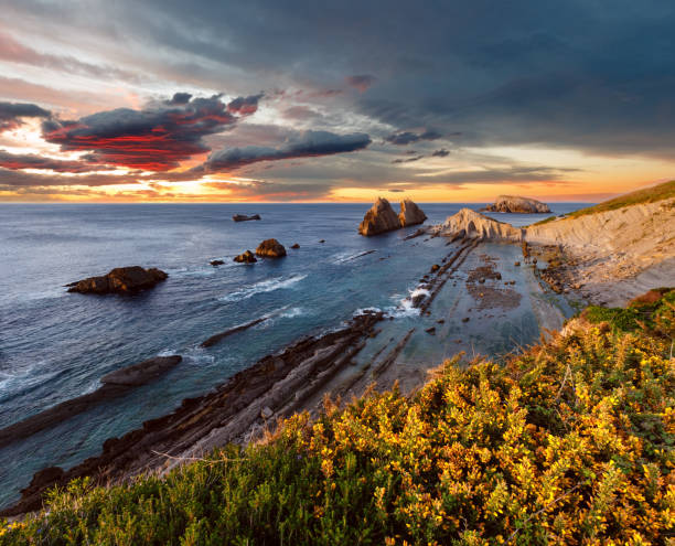 istock Blossoming Arnia Beach evening coastline landscape. 1146554104