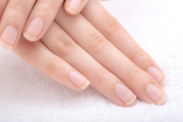 istock Beautiful female hands and nails 1146557960