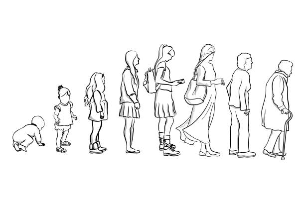 From Younger To Older Woman Woman throughout the different stages in her life, from young to old baby heart rate stock illustrations