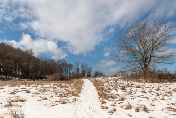 Snowy hayfield in the Hudson Valley with a path leading up to the top of a hill