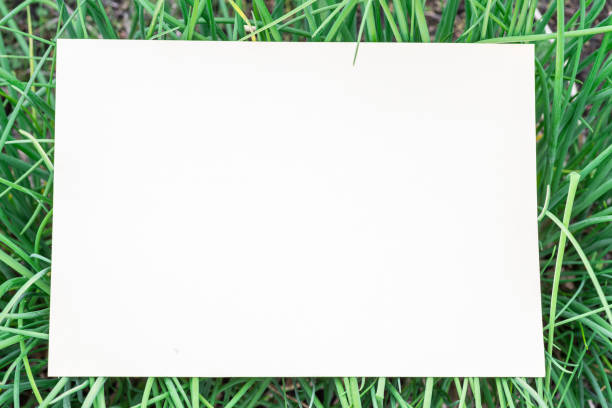 istock Paper blank on the green grass. 1146559984