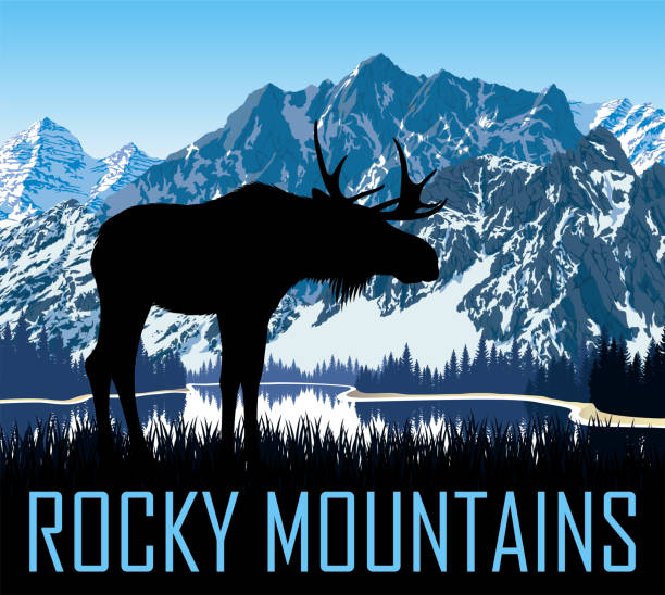 illustrazioni stock, clip art, cartoni animati e icone di tendenza di vettore montagne rocciose lago con alci - canada moose winter snow