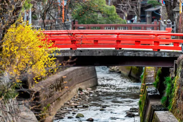 View of red bridge by river in Takayama, Gifu prefecture in Japan with water in early spring and yellow tree