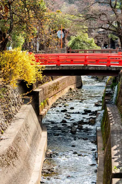 Vertical view of small red bridge by Enako river in Takayama, Gifu prefecture in Japan with water in early spring and yellow tree