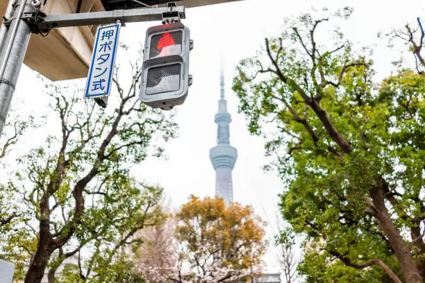 Tokyo, Japan Sumida district area with skytree tower in downtown on cloudy day with traffic light on road street with Japanese sign for "push button style"