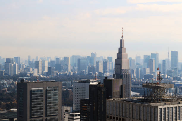 istock A view of Tokyo with various buildings 1146564436