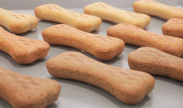 istock Snack food for dogs biscuits production line shaped as bone 1146569808