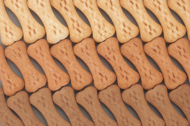 istock Snack food for dogs biscuits shaped as bone from above 1146569809