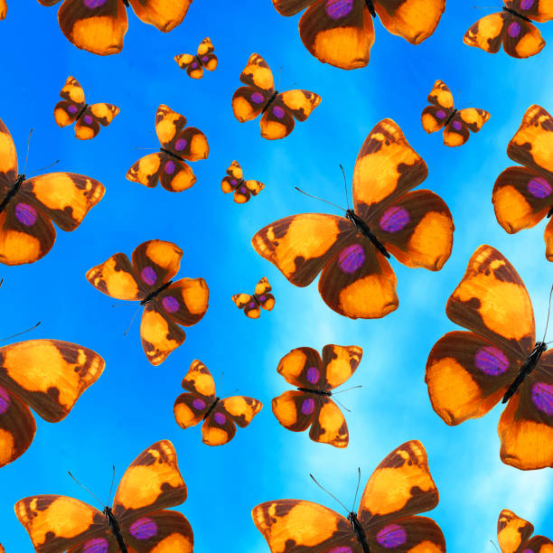 istock Seamless pattern with colorful butterflies against blue sky 1146576861