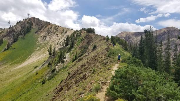 istock Hiking on the ridge at Snowbird Ski Resort 1146583451