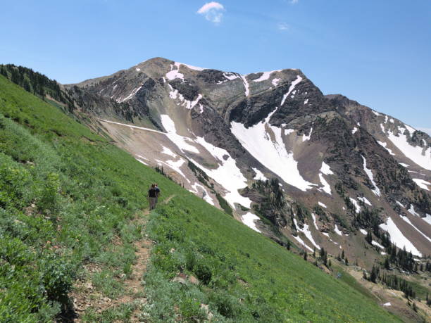 istock Hiking trail above tree line in the Wasatch 1146583464