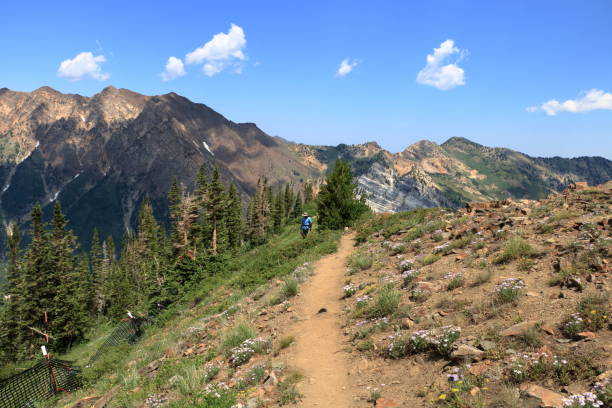 istock Hiking along the Peruvian Ridge Trail 1146583554