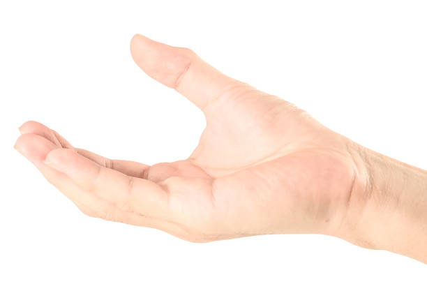 istock hand holding something like a bottle or can 1146584243