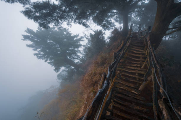 istock Hiking path into the foggy forest 1146586099