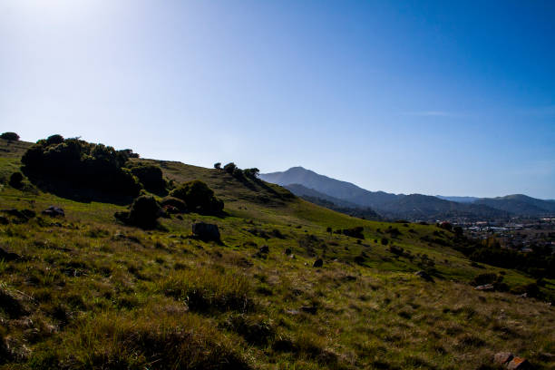 istock A beautiful day in Marin County, California 1146586258