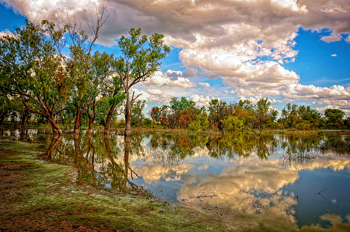 Rural waterhole wetland in Chinchilla in the Western Downs in Queensland