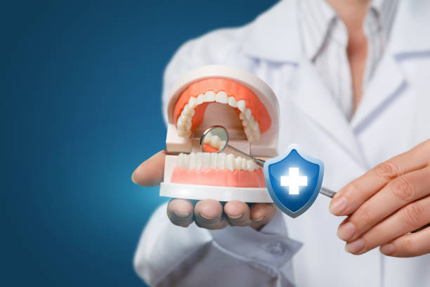istock A dentist with an opened artificial jaw model and a dental mirror. 1146598586