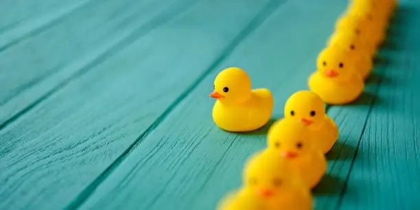 Photo of Line of yellow rubber ducks, moving in an orderly line, with one yellow duck breaking ranks moving out of the line following it's own direction, set on a turquoise colored wooden grained background, conceptually representing water.