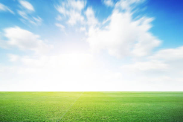 雲の青空の背景を持つサッカーグリーンフィールド。風景アウトドアスポーツ - 芝草 ストックフォトと画像