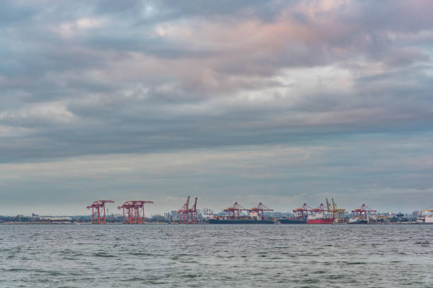 istock Seaport with cranes and cargo ships on sunset 1146599732