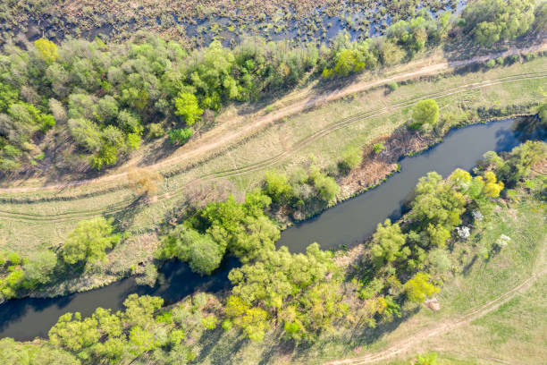 istock aerial top view of spring landscape with trees and river 1146600575