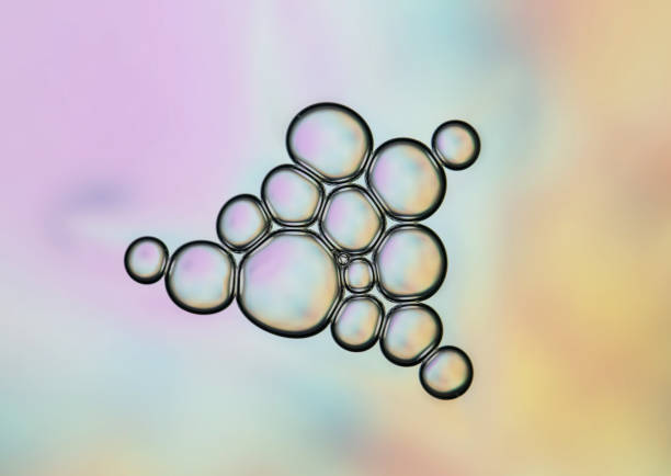 istock Macro close up of soap bubbles 1146603042