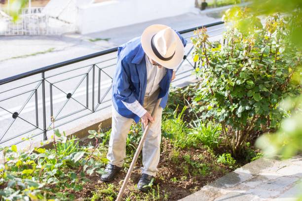 Senior man working in his garden on a sunny day